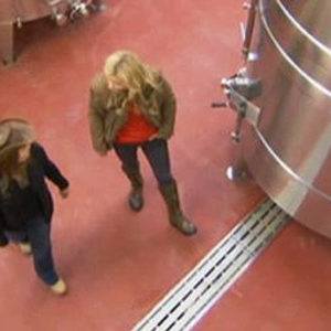 hattingley valley wines floor